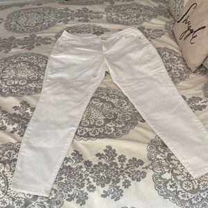 Democracy “Ab Technology” Women’s Plus Size Jeans. Purchased from Nordstrom Rack